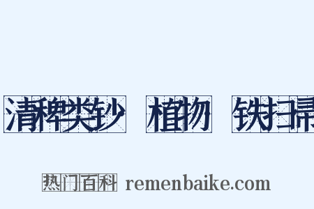 清稗类钞·植物·铁扫帚是什么意思的图片